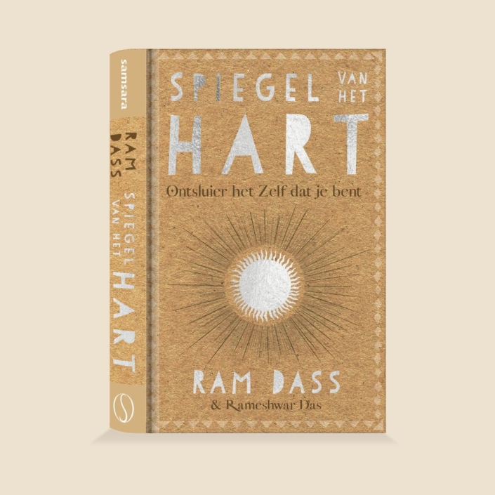 Coversweb-Dass-Spiegel_vh_Hart