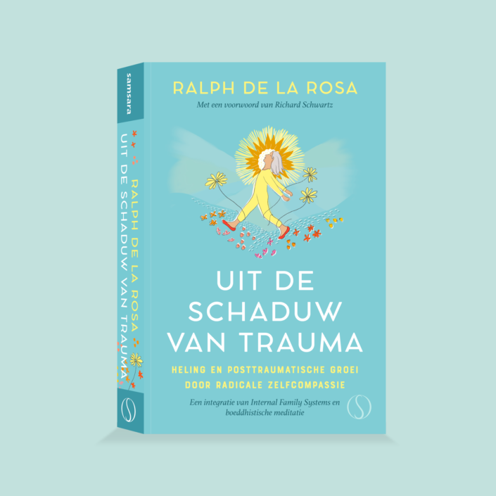 Coversweb- Uit de schaduw van trauma